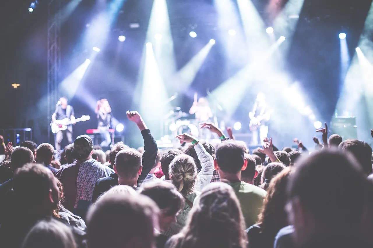 Audience at a live performance